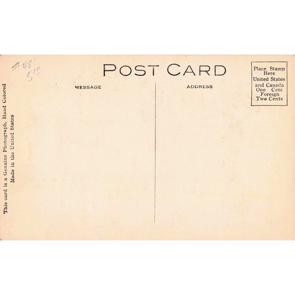 Vintage Hand Colored Postcard As I Was About To Say Child Green Cap W-43 VG - Picture 2 of 2